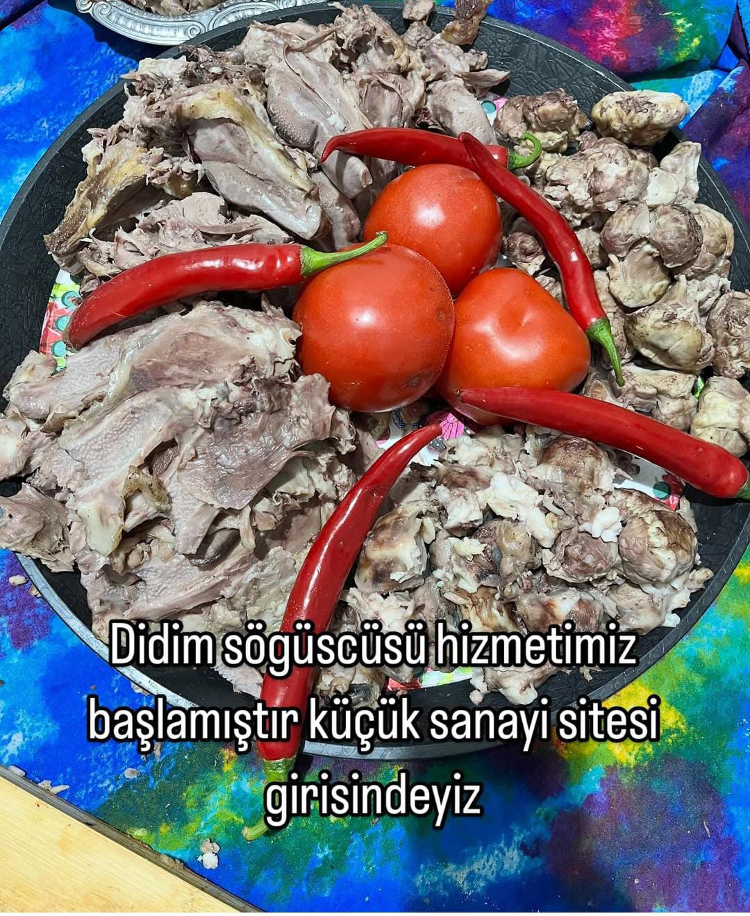 Özer Gece Söğüşçüsü